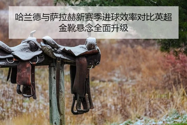 哈兰德与萨拉赫新赛季进球效率对比英超金靴悬念全面升级