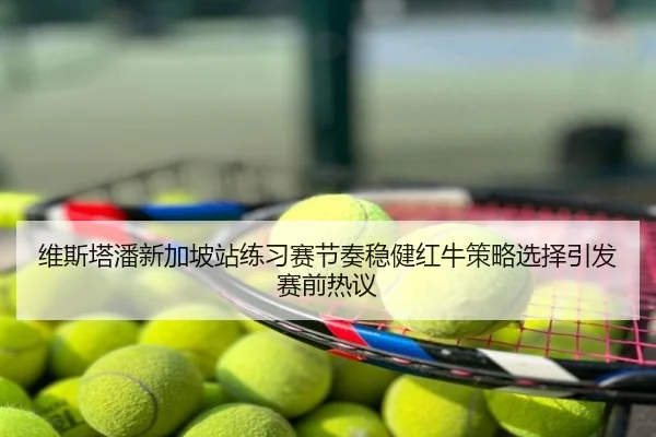 维斯塔潘新加坡站练习赛节奏稳健红牛策略选择引发赛前热议
